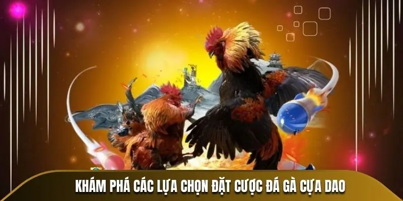 Khám phá các lựa chọn đặt cược đá gà cựa dao