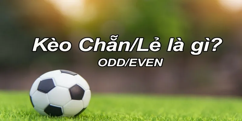 Cá cược túc cầu cực hay với danh mục kèo chẵn lẻ
