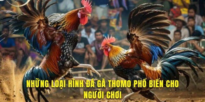 Các hình thức đá gà trực tiếp thomo nổi bật tại đây