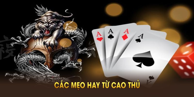 Các mẹo hay từ cao thủ giúp bạn chơi rồng hổ hiệu quả