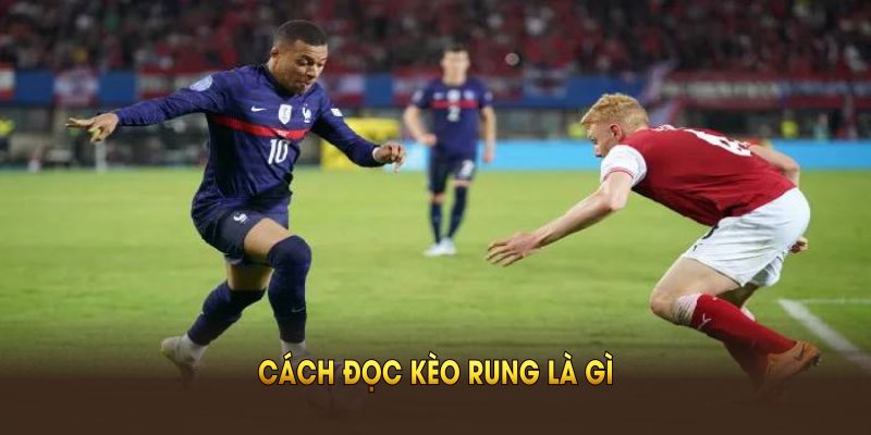 Cách đọc kèo rung là gì giúp tăng cơ hội thắng