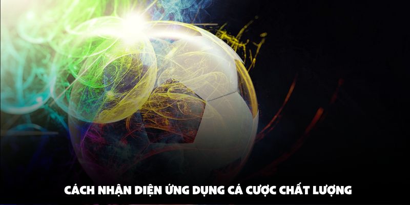 Cách nhận diện ứng dụng cá cược chất lượng