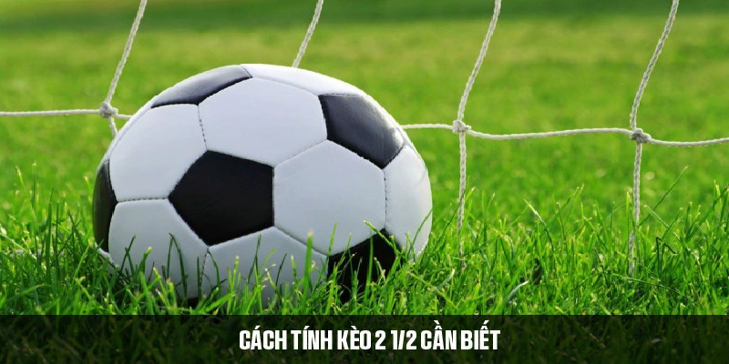 Cách tính thắng thua khi chơi kèo 2 1/2 nên biết