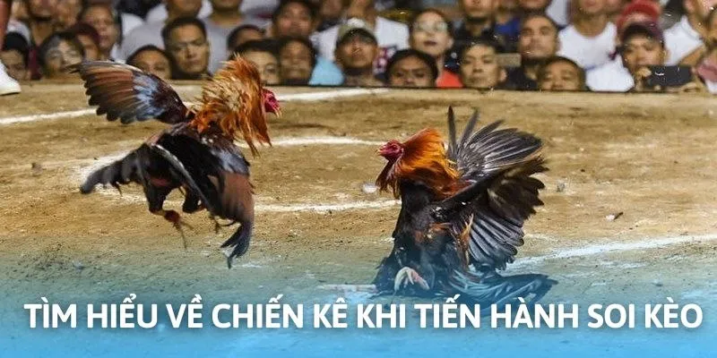 Thu thập thông tin giúp người chơi phân tích đạt hiệu quả cao