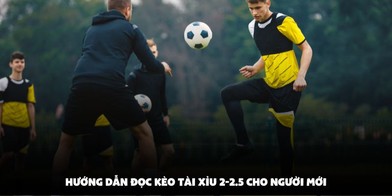 Hướng dẫn đọc kèo tài xỉu 2-2.5 cho người mới