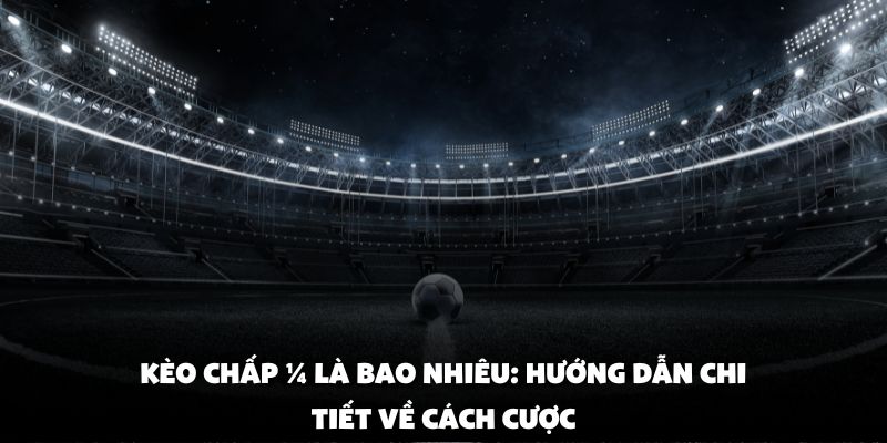 Kèo Chấp ¼ Là Bao Nhiêu: Hướng Dẫn Chi Tiết Về Cách Cược