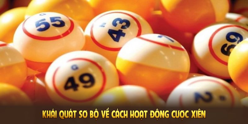 Khái quát sơ bộ về cách hoạt động cược xiên dành cho người chơi mới