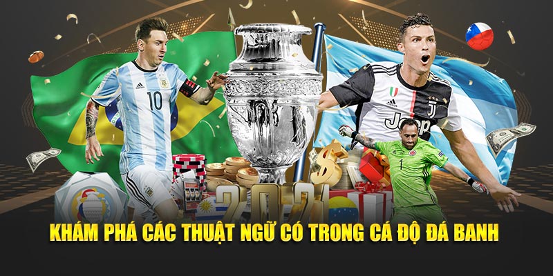 Khám phá các thuật ngữ có trong cá độ đá banh