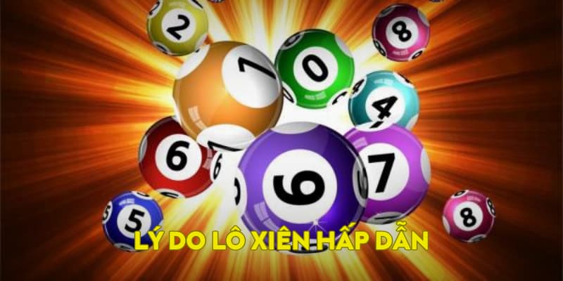 Lý do cho sức hút của lô xiên