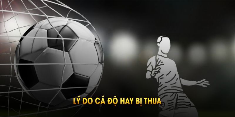 Lý do cá độ hay bị thua