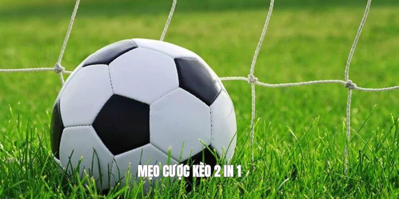 Mẹo cược kèo 2 in 1