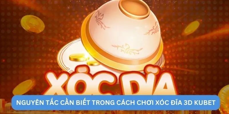 Nguyên tắc cần biết trong cách chơi xóc đĩa 3D KUBET