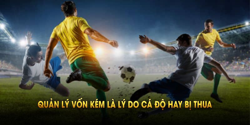 Quản lý vốn kém là lý do cá độ hay bị thua mà nhiều người chơi gặp phải