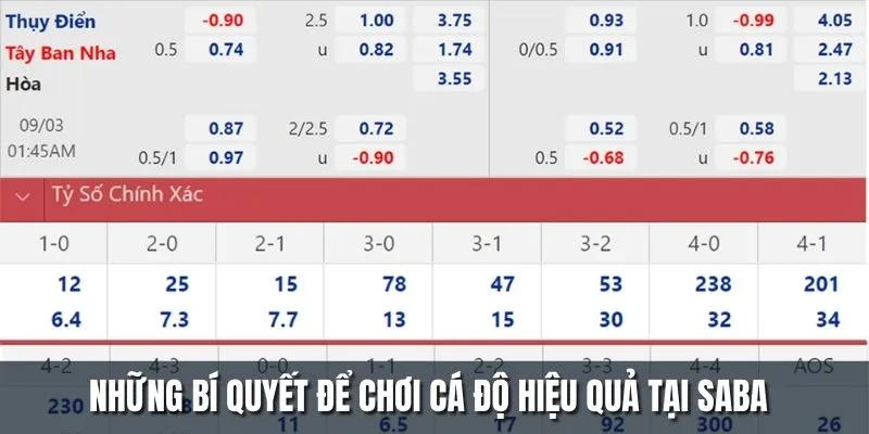 Những bí quyết để chơi cá độ hiệu quả tại SABA