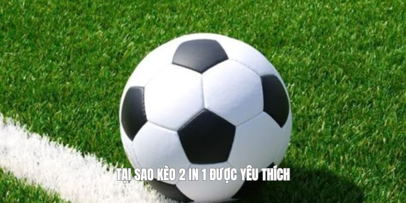 Tại sao kèo 2 in 1 được yêu thích