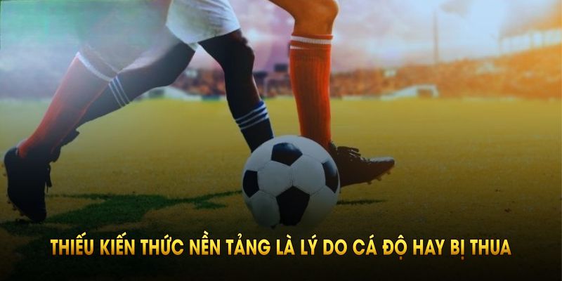 Thiếu kiến thức nền tảng là lý do cá độ hay bị thua nhiều nhất hiện nay