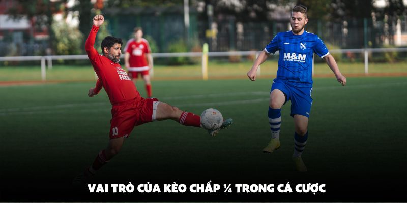 Vai trò của kèo chấp ¼ trong cá cược